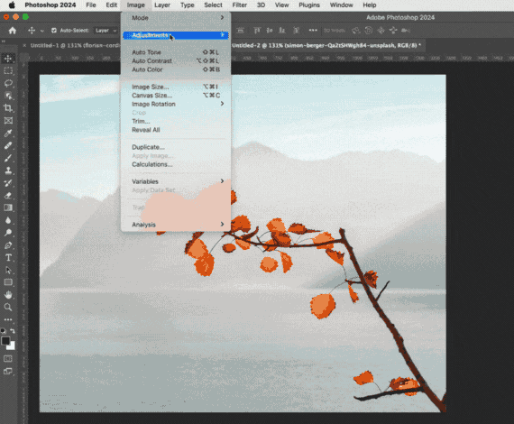 Using levels to adjust the levels in a photo of a tree branch with leaves