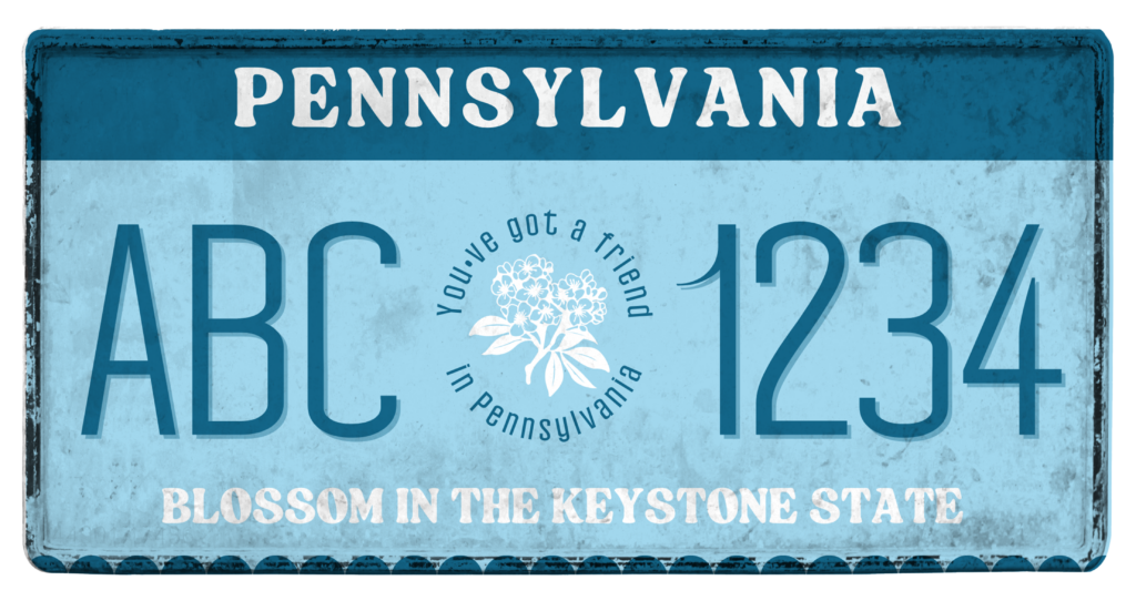 License Plate with Mountain Laurel on it