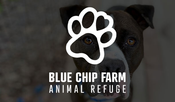 Blue Chip Farm Animal Refuge